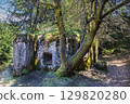 Overgrown Forest Bunker, Czech Republic 129820280