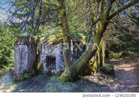 Overgrown Forest Bunker, Czech Republic Overgrown Forest Bunker, Czech Republic 129820280