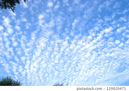 鱗片雲在秋天的天空中蔓延 鱗片雲在秋天的天空中蔓延 129820471