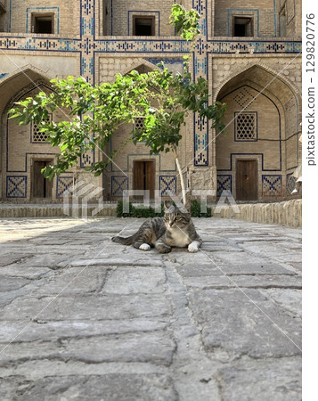 Uzbekistan Bukhara Madrasa Uzbekistan Bukhara Madrasa 129820776
