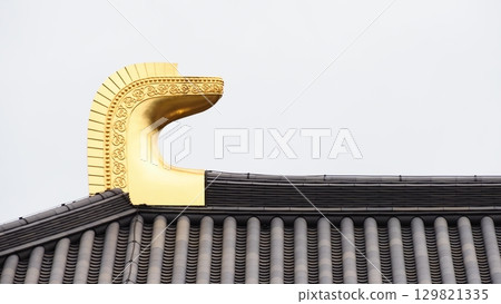 Nara Kofuku-ji Temple Chukondo Hall Shibi 129821335