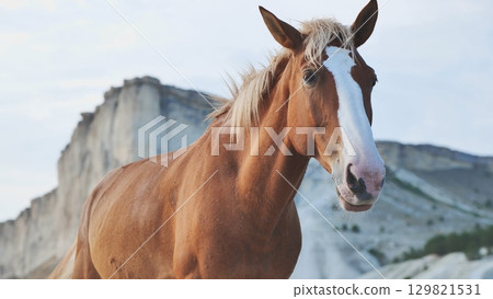 Brown horse standing near White Rock mountain in Crimea, Belogorsk Brown horse standing near White Rock mountain in Crimea, Belogorsk 129821531