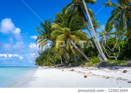Idyllic white sand beach with coconut trees in Maupiti, French Polynesia 129821604