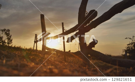 Sun setting behind wooden fence in Crimea near Belogorsk 129821651