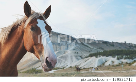 Horse with white facial markings standing in mountainous terrain, embodying natural elegance and tranquil wilderness 129821712
