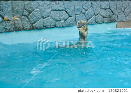 北極熊在游泳池裡游泳 129821961