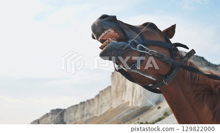 Brown horse neighing with White Rock in Crimea near Belogorsk Brown horse neighing with White Rock in Crimea near Belogorsk 129822000