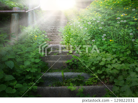 Old stairs in the forest 129822031