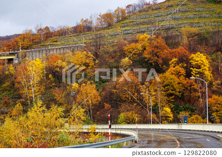 Rainy autumn scenery of Jozankei Dam 129822080