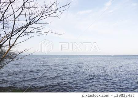 The trees on the lakeshore and the quiet lake. The opposite shore is faintly visible. The trees on the lakeshore and the quiet lake. The opposite shore is faintly visible. 129822485