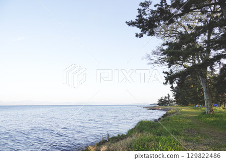 The trees on the lakeshore and the quiet lake. The opposite shore is faintly visible. The trees on the lakeshore and the quiet lake. The opposite shore is faintly visible. 129822486