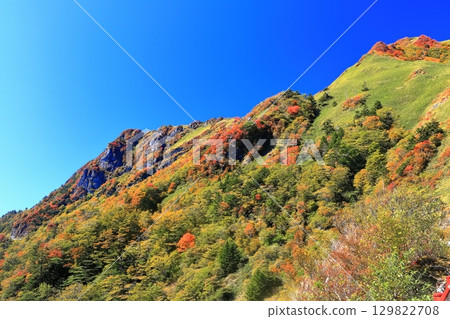 [Ehime Prefecture] Autumn leaves in Kamegamori (Mt. Ishizuchi) 129822708