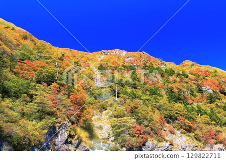 [Ehime Prefecture] Autumn leaves in Kamegamori (Mt. Ishizuchi) 129822711