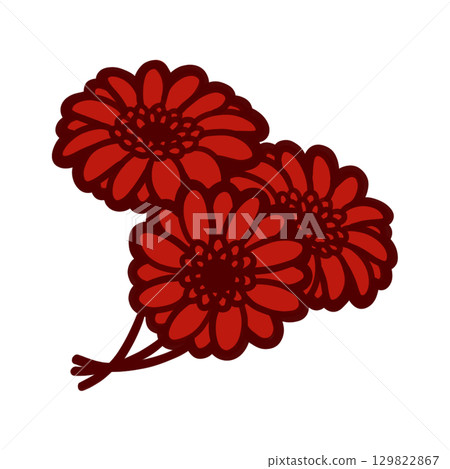 三幅紅色非洲菊的彩色插圖 三幅紅色非洲菊的彩色插圖 129822867