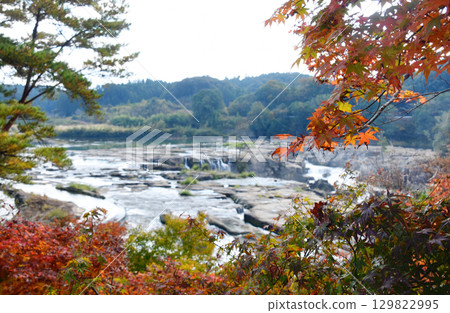 鹿兒島縣伊佐市的曾木瀑布透過紅葉映入眼簾 鹿兒島縣伊佐市的曾木瀑布透過紅葉映入眼簾 129822995