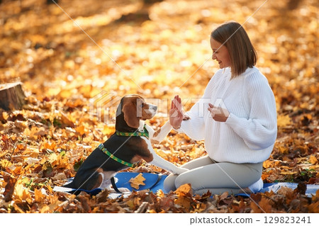 Side view, playing. Woman is with her cute dog in the autumn forest 129823241