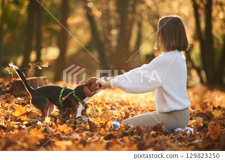 Weekend activities. Woman is with her cute dog in the autumn forest Weekend activities. Woman is with her cute dog in the autumn forest 129823250
