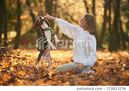 Playing with wooden stick. Woman is with her cute dog in the autumn forest 129823256