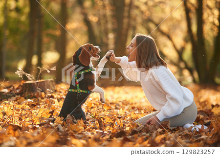 Weekend activities. Woman is with her cute dog in the autumn forest 129823257