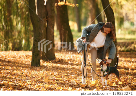 Walking together. Woman is with her cute dog in the autumn forest Walking together. Woman is with her cute dog in the autumn forest 129823271
