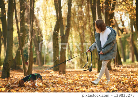 Walking together. Woman is with her cute dog in the autumn forest Walking together. Woman is with her cute dog in the autumn forest 129823273
