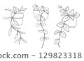 Hand-drawn line drawing of a houseplant 129823318