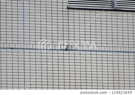 Cracks in the outer wall tiles image Cracks in the outer wall tiles image 129823649