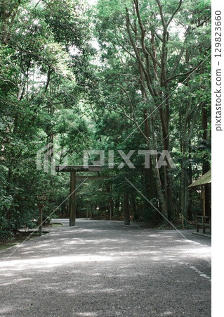 A road surrounded by green 129823660