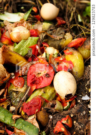 vertical image of organic food trash being added to a compost pile. The photo, with a focus on a red tomato and green scraps, is a powerful symbol of sustainability and recycling rubbish vertical image of organic food trash being added to a compost pile. The photo, with a focus on a red tomato and green scraps, is a powerful symbol of sustainability and recycling rubbish 129823783