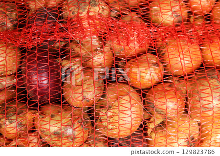 freshly harvested onions in a rustic net. close up onion texture net. close up harvest onions freshly harvested onions in a rustic net. close up onion texture net. close up harvest onions 129823786