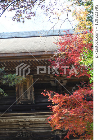 京都府三尾市高尾山神護寺樓門的紅葉美景（京都府京都市右京區） 129823995