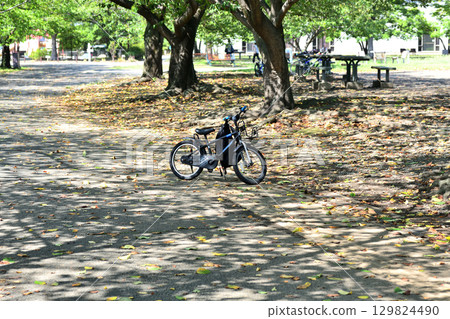 A child's bicycle is parked under the cool shade of the cherry blossom trees in Samukawa Central Park. 129824490