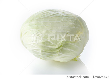 cabbage  129824678