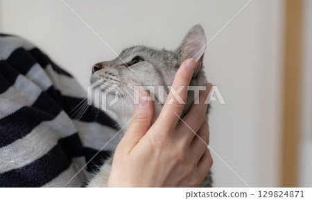 Sabatra cat hugging a cat Sabatra cat hugging a cat 129824871