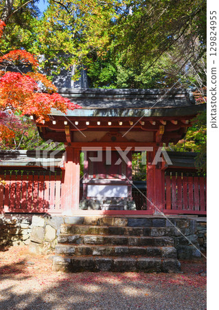 Kyoto, Mio, Takaosan, Jingoji Temple, Wake no Mausoleum and vibrant autumn foliage (Ukyo Ward, Kyoto City, Kyoto Prefecture) 129824955