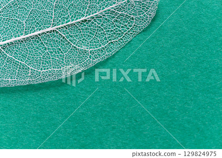 Beautiful white veins on a green background Skeleton leaf 129824975