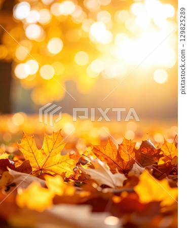AI image: Fallen leaves in a park illuminated by autumn light 129825289