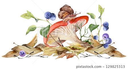 Russula cortinarius webcap mushroom, crawling snail on cap, blueberry blackberry berries twigs on top of fallen autumn leaves pile. Forest floor. Fungi natural illustration hand drawn in watercolor. Russula cortinarius webcap mushroom, crawling snail on cap, blueberry blackberry berries twigs on top of fallen autumn leaves pile. Forest floor. Fungi natural illustration hand drawn in watercolor. 129825313