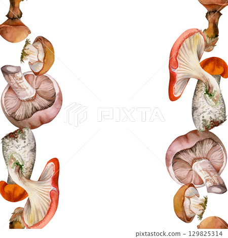 Bolete cep russula suillus mushroom fungi hand drawn in watercolor, autumn forest harvest, edible raw ingredient for vegan cooking. Seamless double banner. Menu list accents, farmers market wrapping 129825314