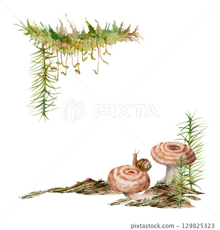Lactarius milk-cap russula mushroom fungus, snail on cap. Square corner frame hand drawn in watercolor. Horsetail plant on bark with moss lichen growth. Decoupage scrapbooking accents, stationery 129825323