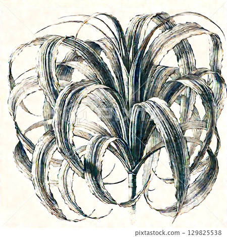 handwritten style, curf, Chlorophytum 129825538