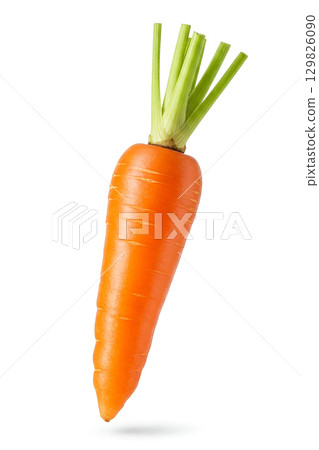 Isolated fresh carrot elemt design Isolated fresh carrot elemt design 129826090