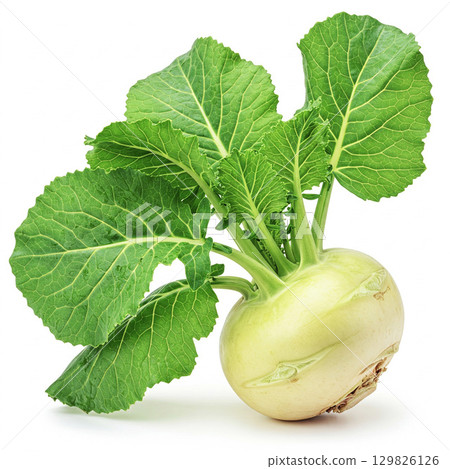 Fresh turnip vegetable isolated on white 129826126