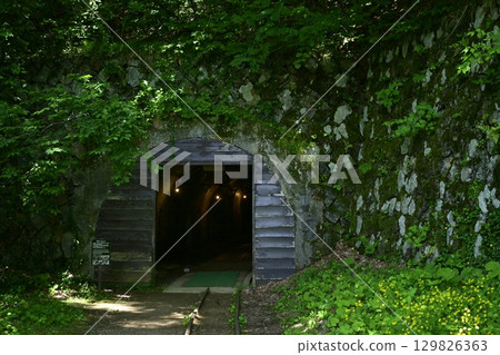 Entrance to the Takato tunnel at Sado Gold Mine 129826363
