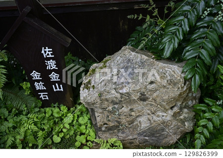 佐渡金山入口處的金礦石 129826399
