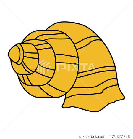 Sea shell cartoon. Tropical ocean exotic underwater seashell 129827798
