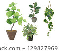 Houseplants in flowerpots - Indoor green illustration set 129827969