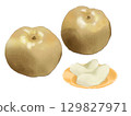 Hand-drawn illustration of pear in watercolor style. Seasonal fruit. 129827971