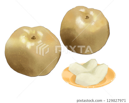 Hand-drawn illustration of pear in watercolor style. Seasonal fruit. Hand-drawn illustration of pear in watercolor style. Seasonal fruit. 129827971