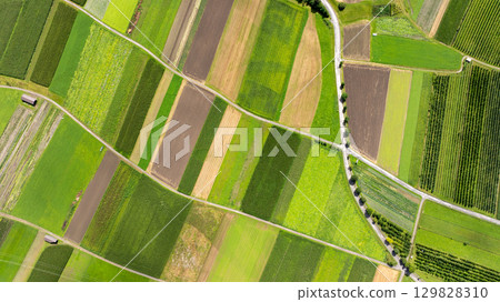 Aerial view of colorful cultivated fields creating a geometric pattern in the countryside of Tyrol, Austria, highlighting agricultural land use 129828310